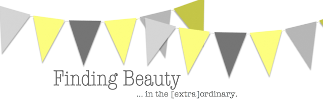 Finding Beauty in the Ordinary