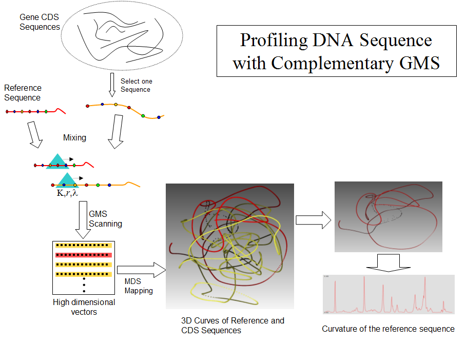 Visualizing High Dimensional Data December 2015