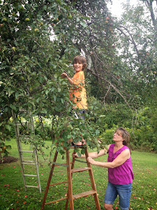 He loved climbing the ladder....