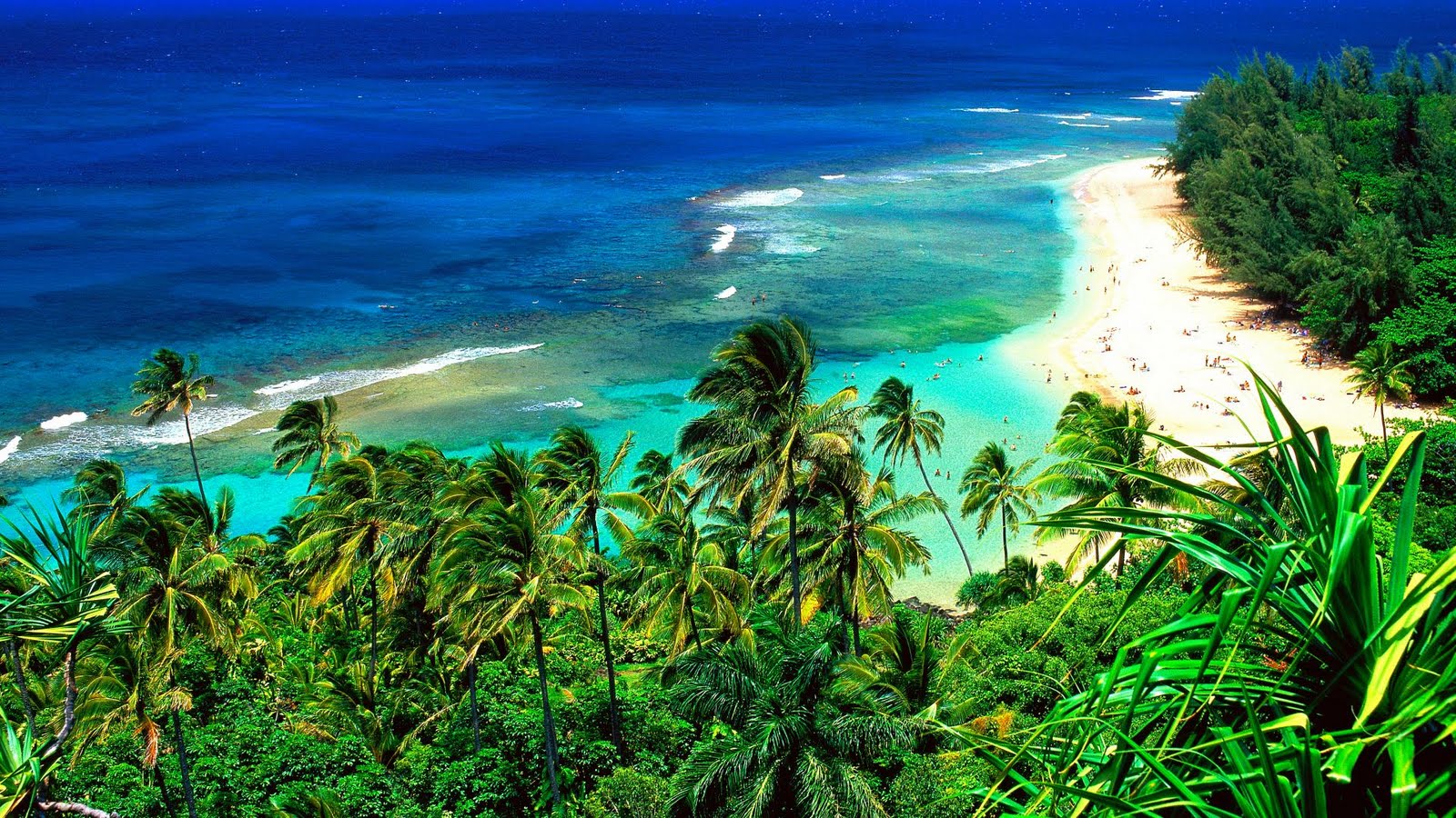 http://4.bp.blogspot.com/-8382Aoum2kI/Tc7M9X6y7yI/AAAAAAAAN5E/H9vwIdNgOFM/s1600/Kee%2BBeach%252C%2BKauai%252C%2BHawaii.jpg