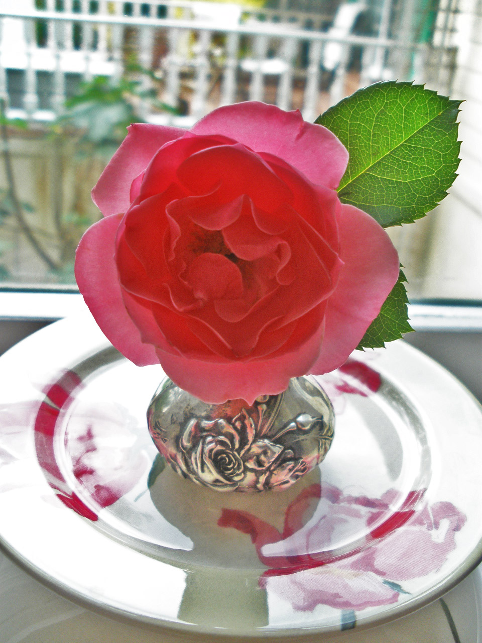 Mariette S Back To Basics Our Royal Bonica Rose