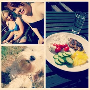 kesä, ruokaa ja koira