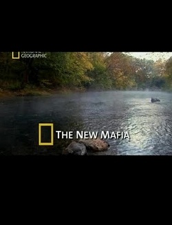 National Geographic: A Nova Máfia - Dublado National Geographic: A Nova Máfia Dublado Download