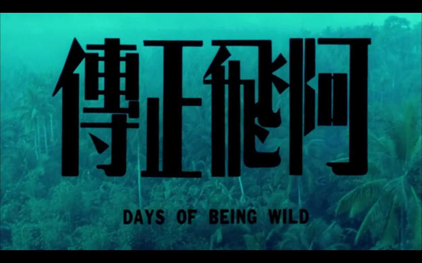 hi bruce days of being wild 1990 a christmas melody trailer