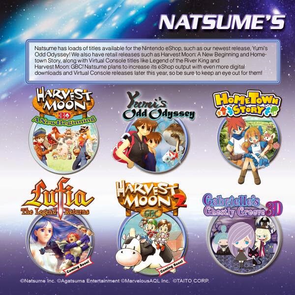 Image result for natsume video gamer