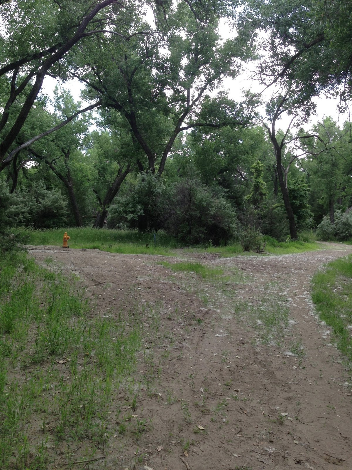 The Roaming Itinerant La Framboise Island (Pierre, SD)