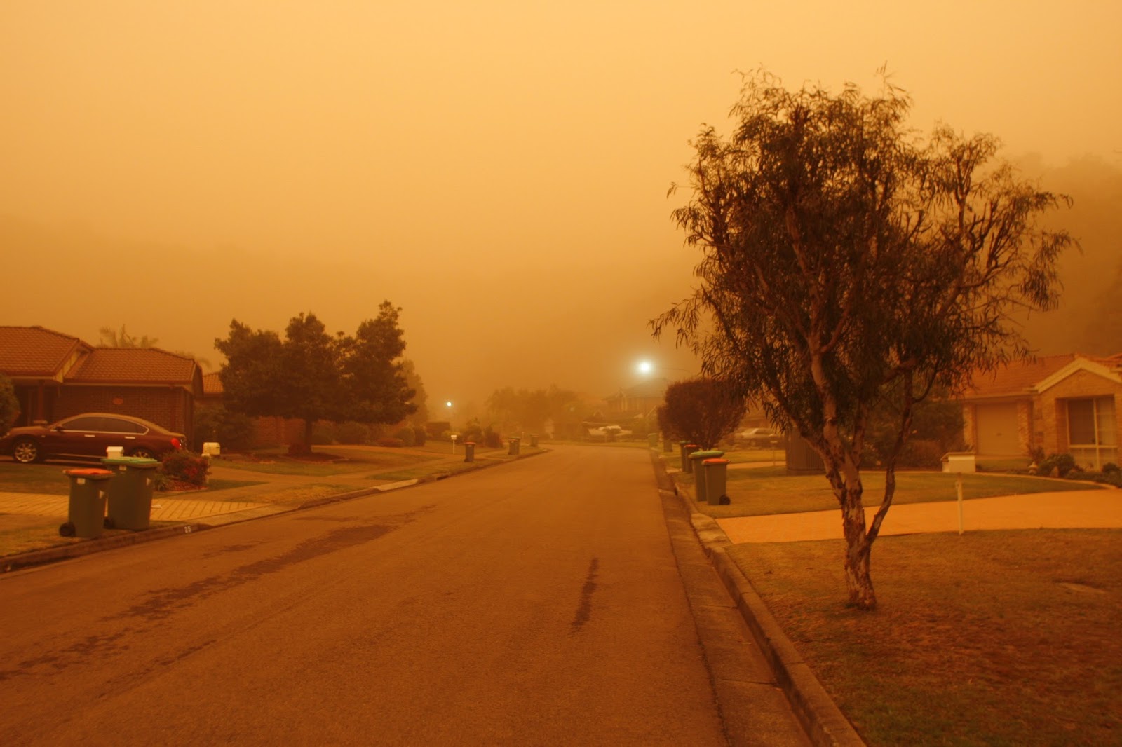 Dust bowl essay outline picture