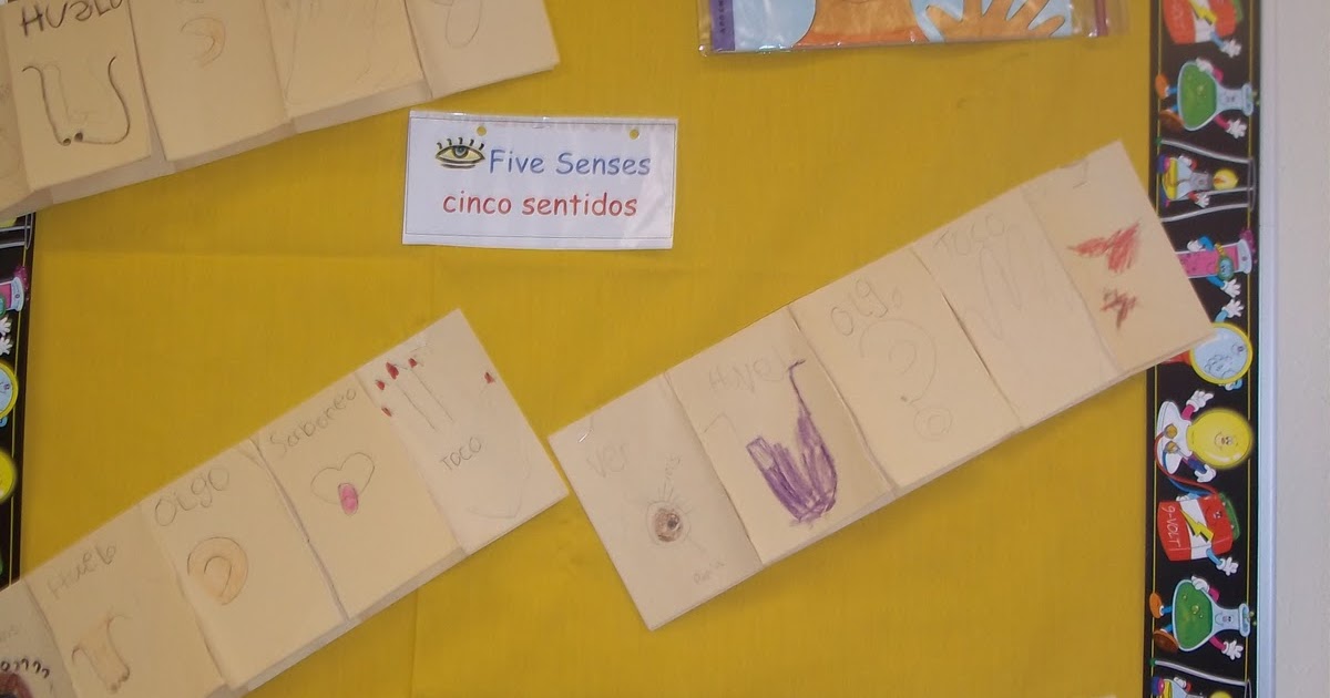 Mrs. Wood's Kindergarten Class: Five Senses