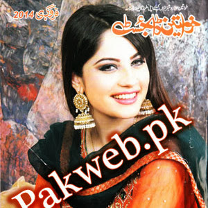 Khawateen Digest february 2014 free download, read online