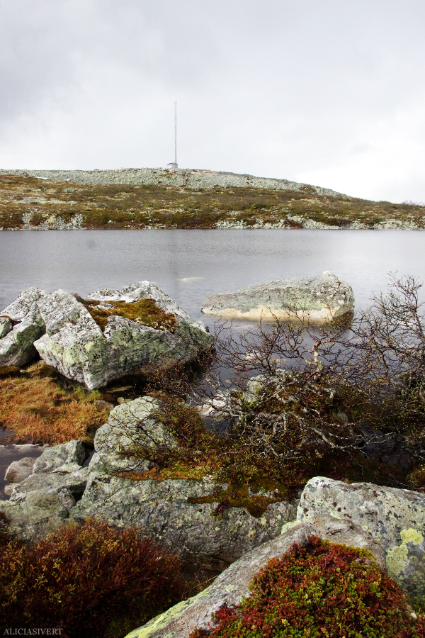 Varggranshågna, Härjedalen, Sweden. Photo by Alicia Sivertsson, 2015. aliciasivert, alicia sivertsson, alicia sivert, fjällvandring, vandra i fjäll, fjällen, fjällvandra, vemdalen, vemdalsskalet, hike, hiking in sweden, härjedalen, norrland, sverige, varggranshågna, varggranssjön,