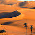 Nice Picture Collection Of Desert Love