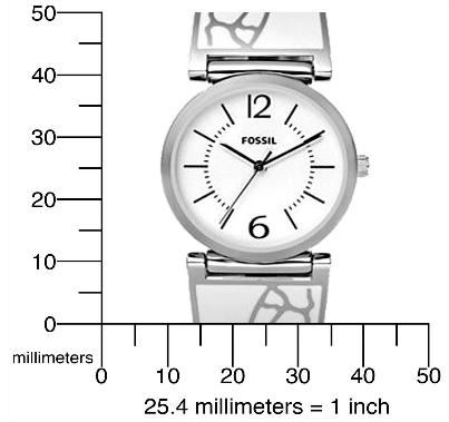 Fossil Butterfly Watch