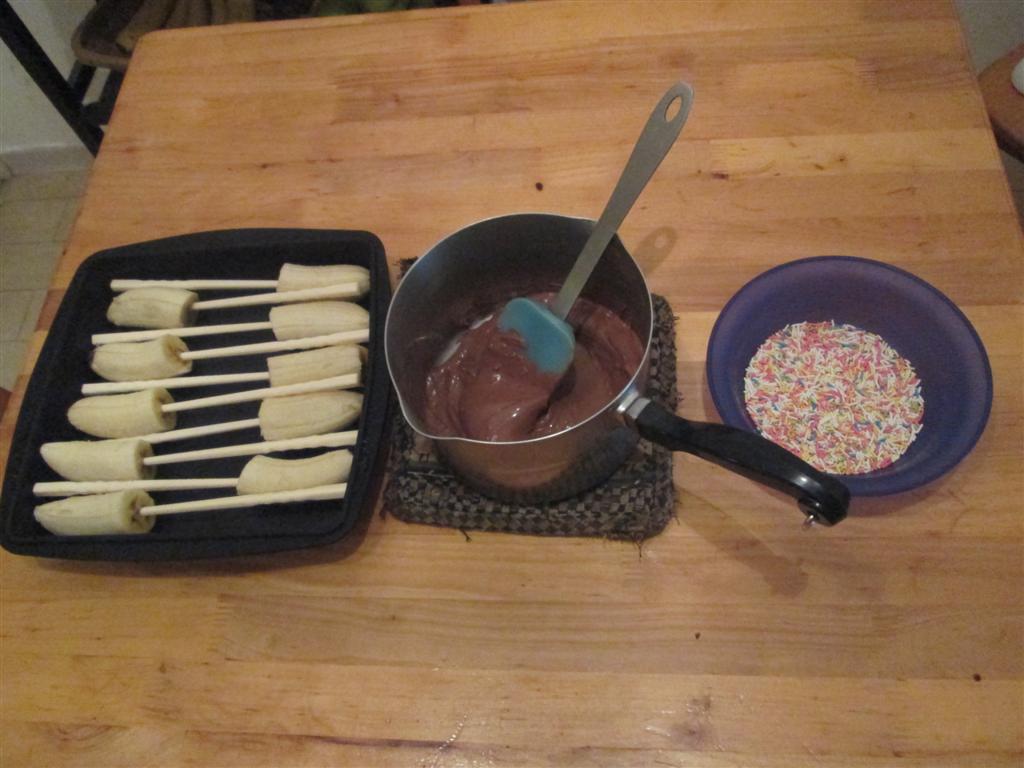 The DoItYourself Mom DIY Chocolate Covered Bananas