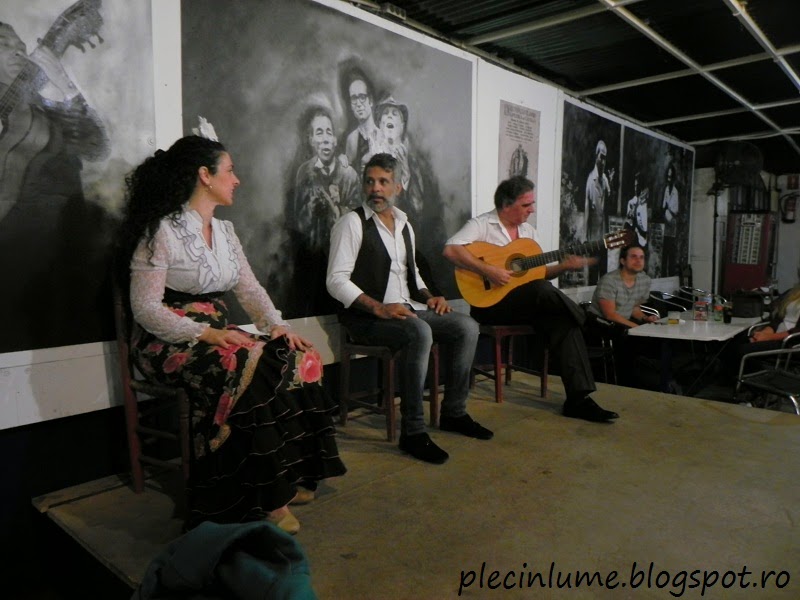Spectacol de flamenco in Sevilia Spectacol de flamenco in Sevilia
