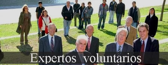 Expertos voluntarios