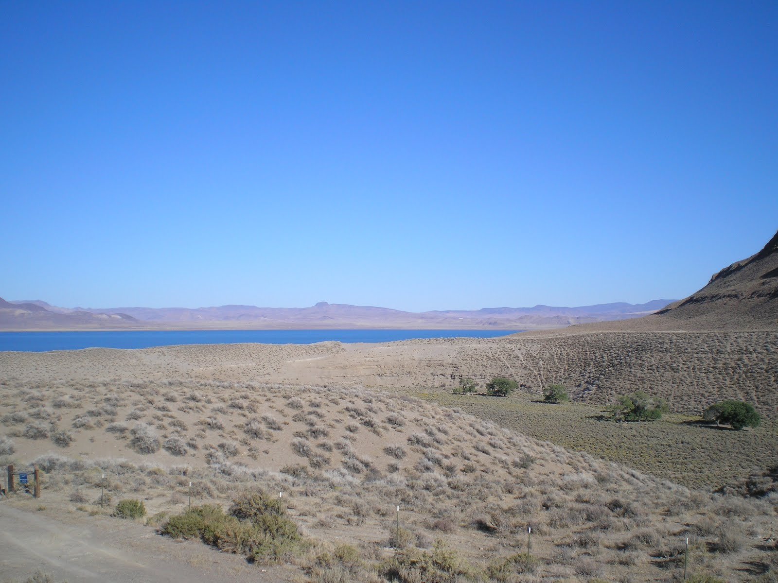 The Road Genealogist Lemmon Valley & Pyramid Lake