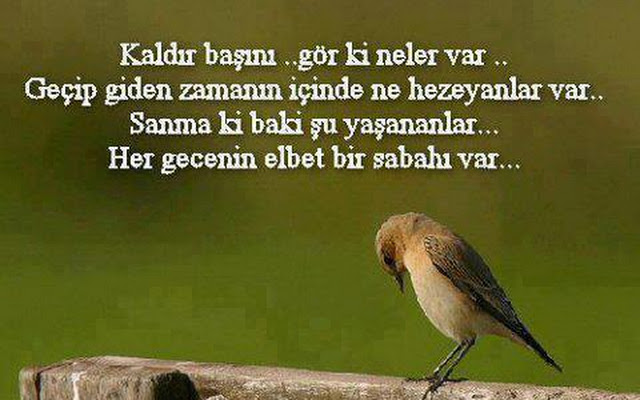 anlaml%25C4%25B1%2Bs%25C3%25B6zler.jpg