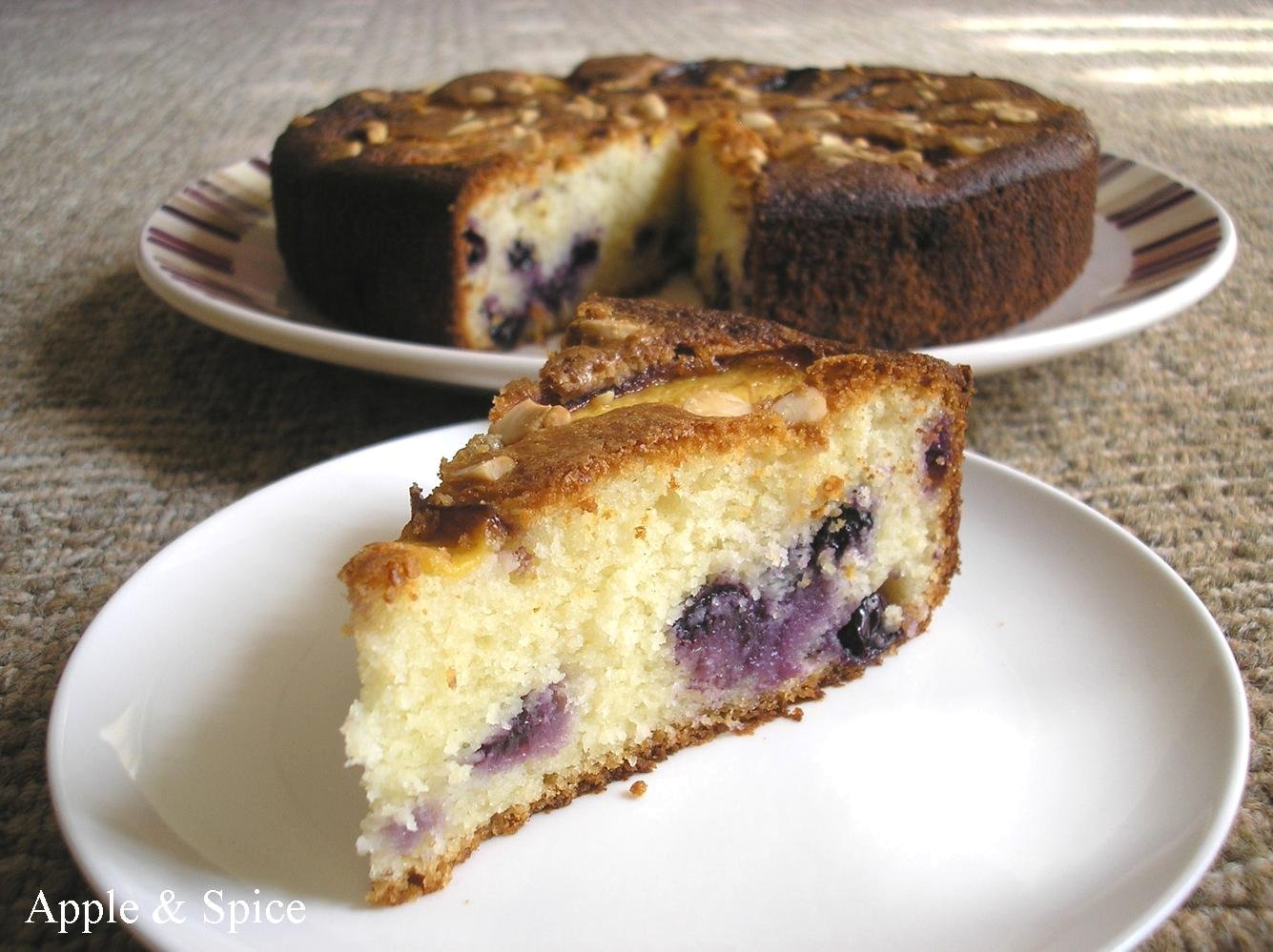 Apple & Spice Blueberry & Nectarine Yoghurt Cake