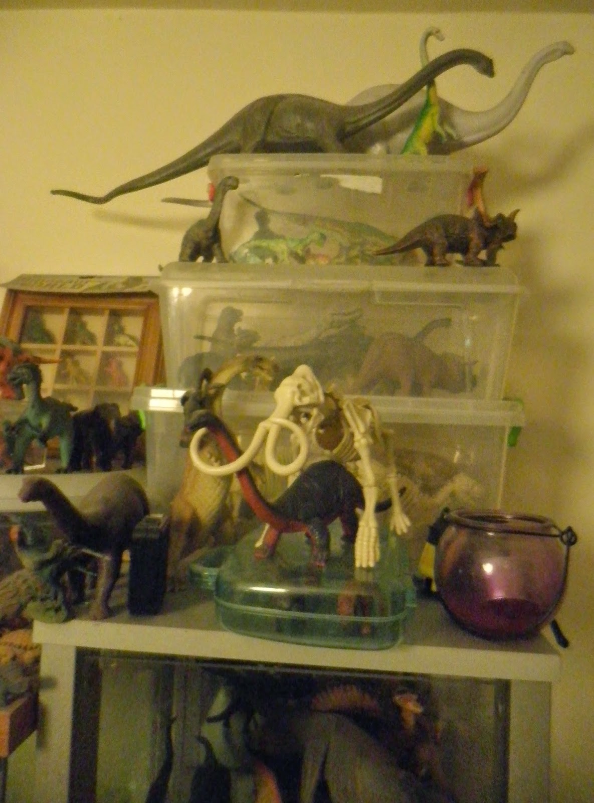 Matt Salusbury Haringey Paleontology Museum in reduced circumstances