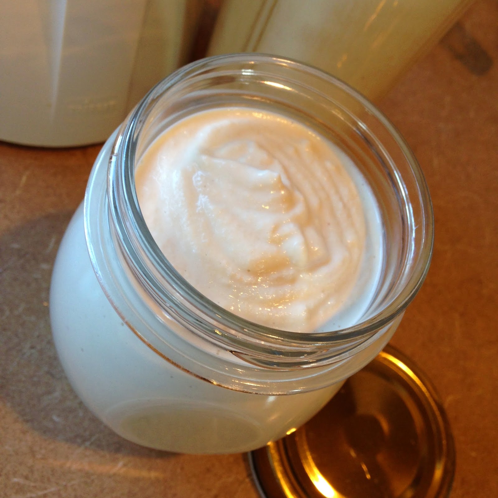 RAW Living and Learning Vegan Sour Cream (oil free, salt free)
