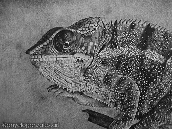 Rango Hiperrealismo Anyelo Gonzalez