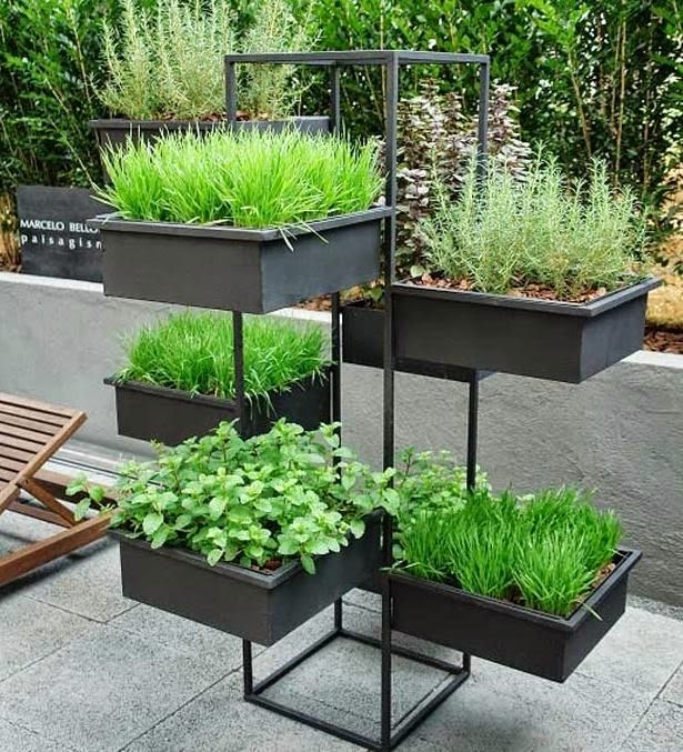 ideias jardins moradias:Temperos em vasos, floreiras e garrafas pets – Jeito de Casa – Blog de ideias jardins moradias:Temperos em vasos, floreiras e garrafas pets – Jeito de Casa – Blog de