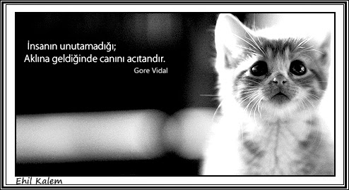 gore vidal sozleri facebook sozleri twitter ehil kalem