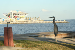 St. Pete Pier