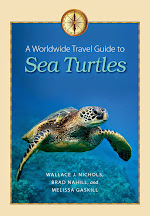 A World-Wide Travel Guide to Sea Turtles