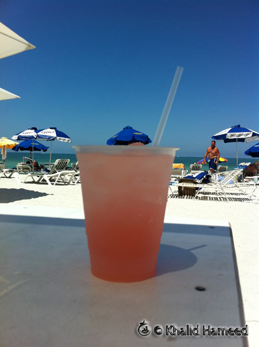 Scallywag Journeys Tampa Bay and Beyond Caddy's On The Beach