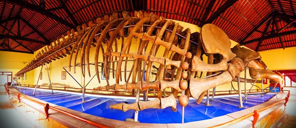 Dinh Vạn Thủy Tú