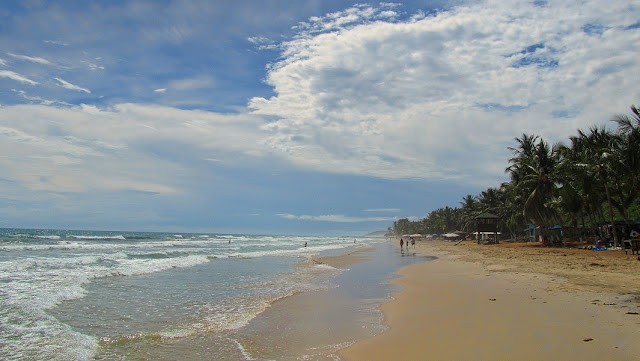 Mirando playa delfin
