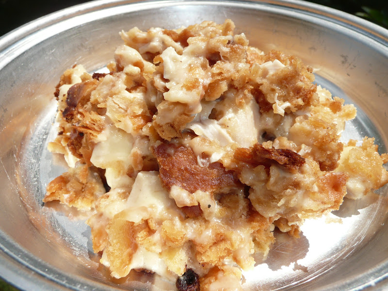 Everyday Dutch Oven Ritzy Chicken Casserole