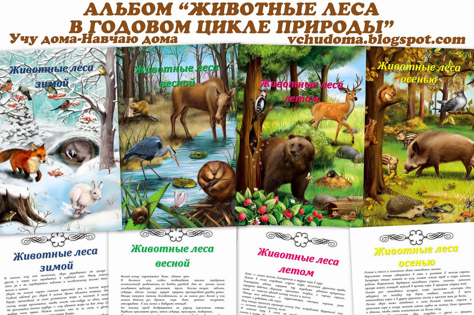 Игры с животными сценарий Игры с животными сценарий