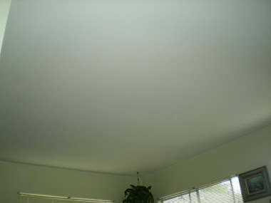 Acoustic Ceiling Removal