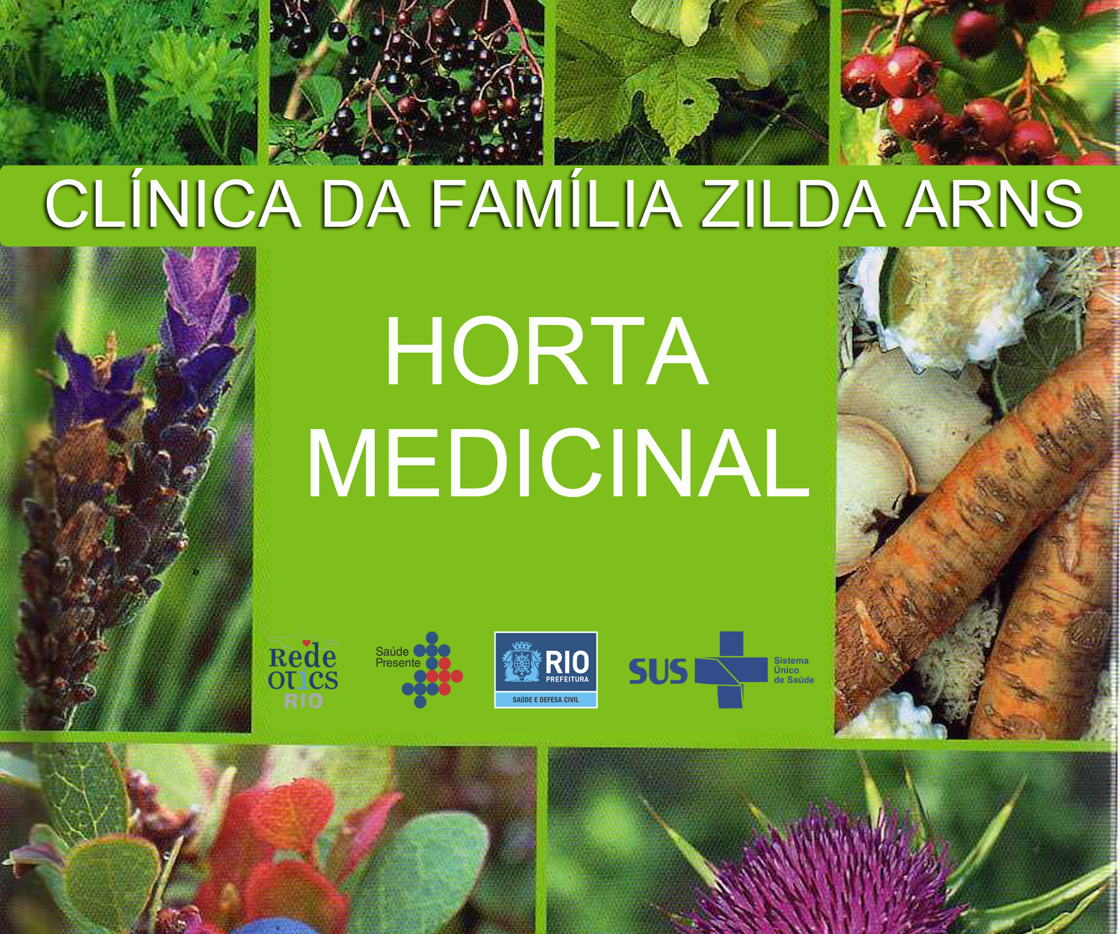 Related to Plantas e Ervas Medicinais, Fitoterapia e Fitoterápicos Related to Plantas e Ervas Medicinais, Fitoterapia e Fitoterápicos