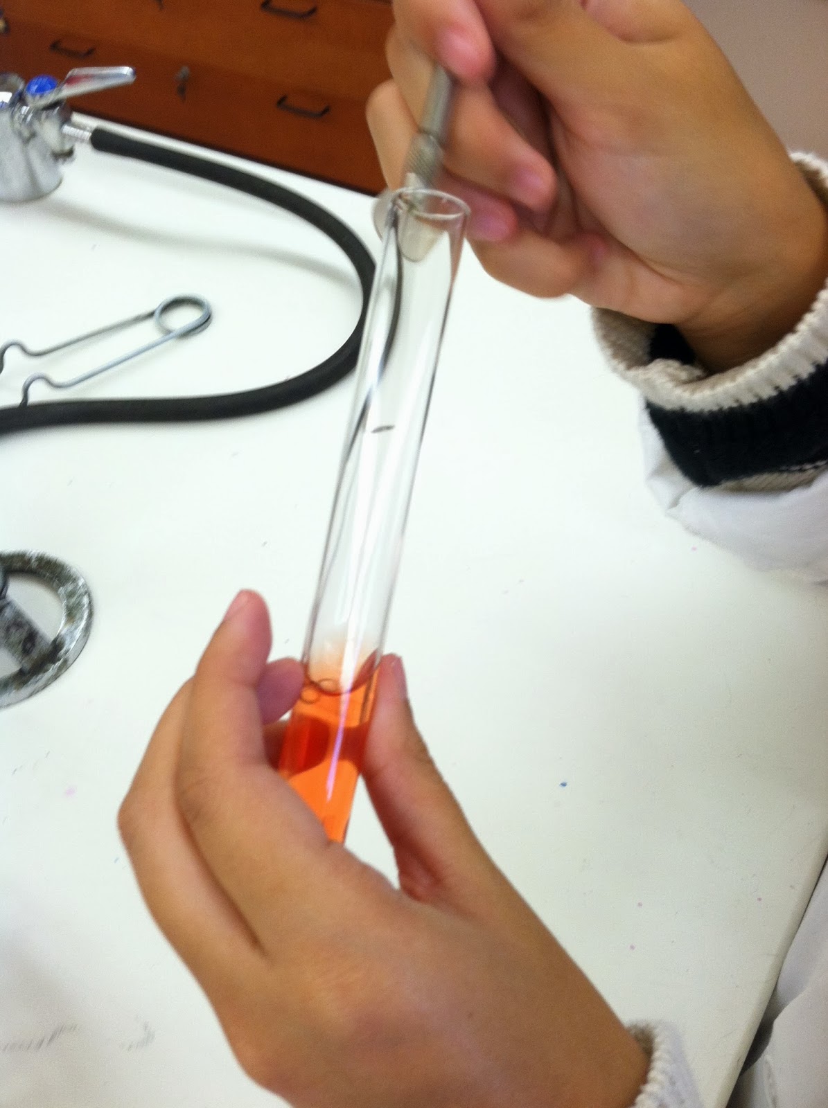 Rose & Lindsey's Medical Microbiology Blog Testing For Sucrose