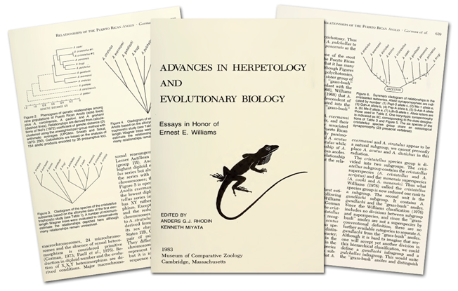essays on evolutionary biology Economics” the promise of genetic evolutionary economics is a better understanding of human nature and behavioral biology -- lessons from other species. essays on evolutionary biology Economics” the promise of genetic evolutionary economics is a better understanding of human nature and behavioral biology -- lessons from other species.