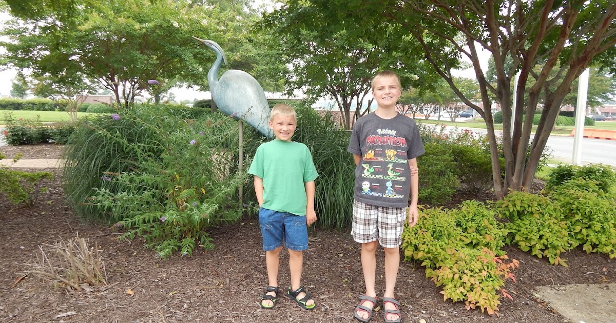 The Great Chesapeake Heron Quest Day 2