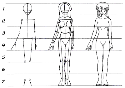 Anatomia do corpo humano feminino fotos