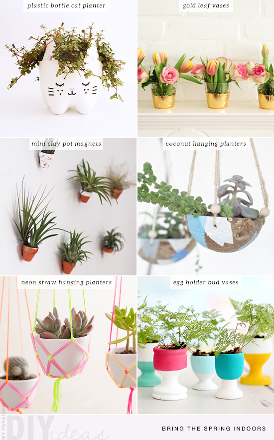 Diy bud vases, hanging planters and recycled bottles tutorials to bring the spring indoors. 