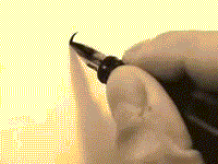 beautiful calligraphy handwriting gif