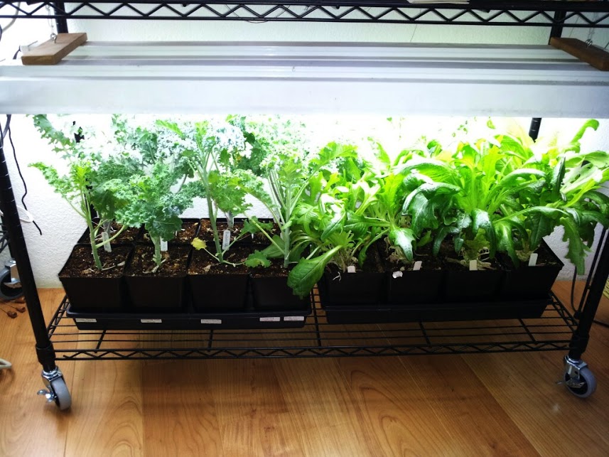 Wasilla Alaska Garden Adventures