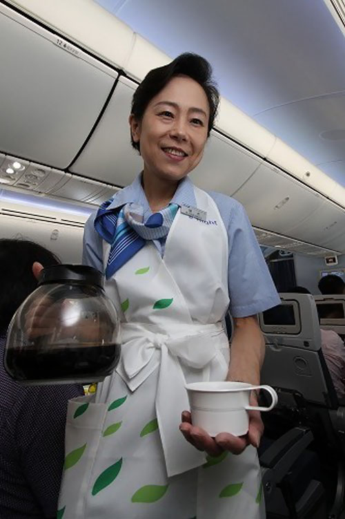 ANA cabin attendants in Boeing 787 World Stewardess