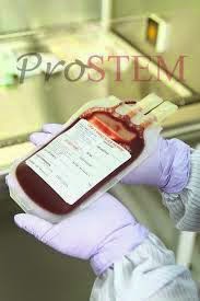 Trend Simpan Darah Tali Pusat Stem Cell di Bank Darah - Investasi Kesehatan Trend Simpan Darah Tali Pusat Stem Cell di Bank Darah - Investasi Kesehatan