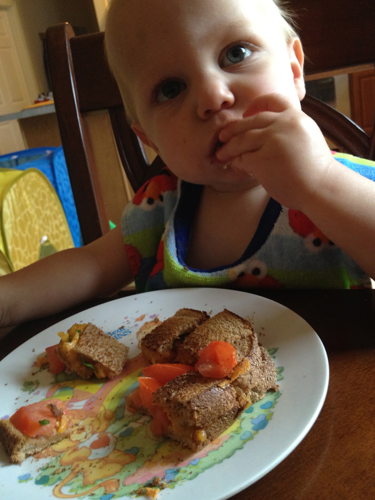 Veggie Hot Dogs And Pregnancy Veggie Hot Dogs And Pregnancy