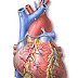Nursing Assessment for Heart Failure