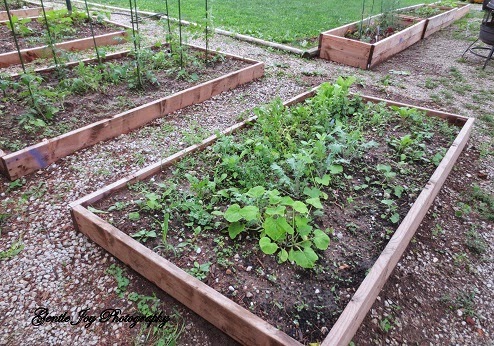 Gentle Joy Homemaker: New Raised Garden Beds