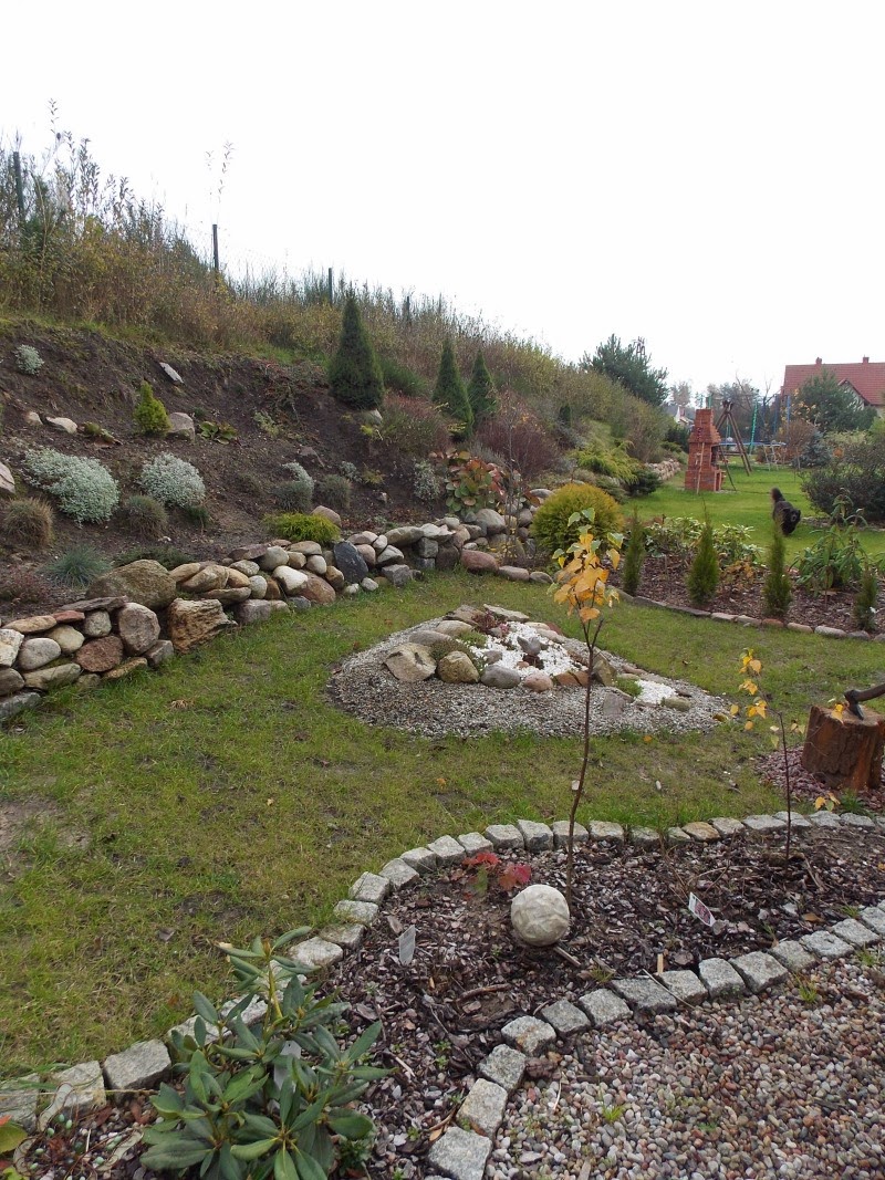 Aleja Kwiatowa - blog ogrodowy, ogrodniczy o kwiatach : Kamieniem i