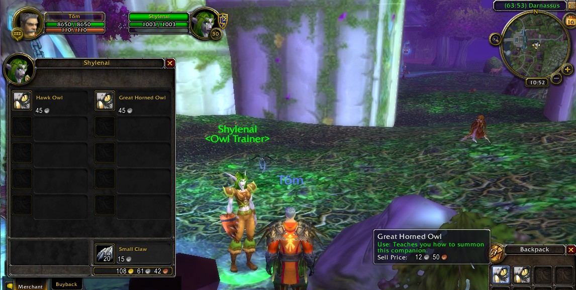 Wow Farmer Great Horned Owl Shylenai Wow Pet Wow Gold Farming Tip